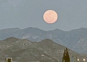 ESTA TARDE